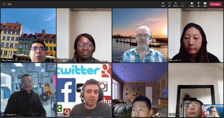 Screen capture of a virtual meeting.