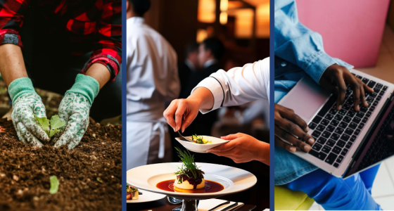 Collage of three close-up images of hands doing various things: the left image is of someone wearing gardening gloves and a flannel shirt planting in soil, the image in the middle is someone's hand's garnishing a prepared meal at a restaurant, and the image on the right is of someone's hands on a laptop.