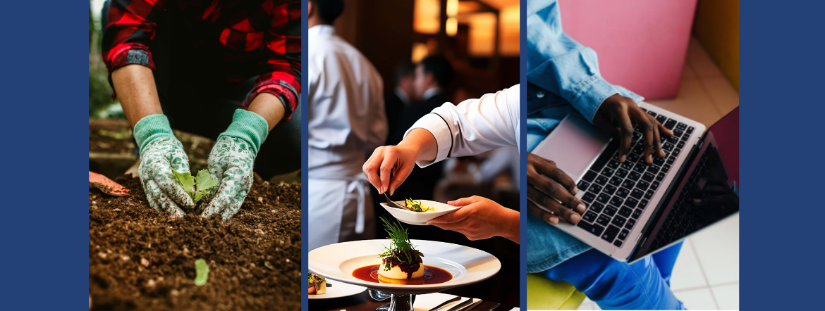 Collage of three close-up images of hands doing various things: the left image is of someone wearing gardening gloves and a flannel shirt planting in soil, the image in the middle is someone's hand's garnishing a prepared meal at a restaurant, and the image on the right is of someone's hands on a laptop.