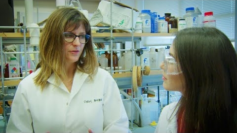 University professor