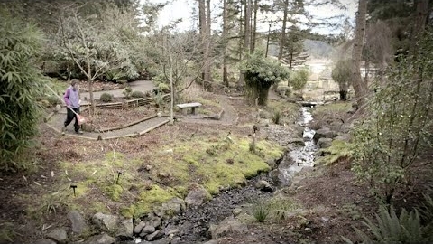 Landscape horticulturalist