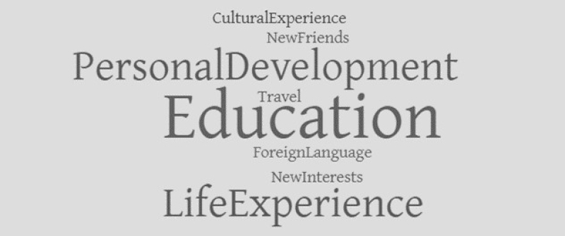 NTI5NzE_OX88CshYckebEKaI-study-abroad-word-cloud