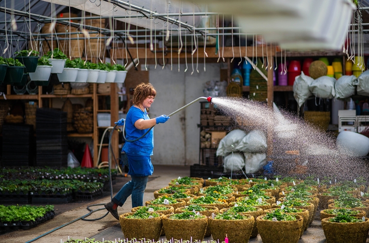 woman watering plants_greenhouse_landscape_1000x700