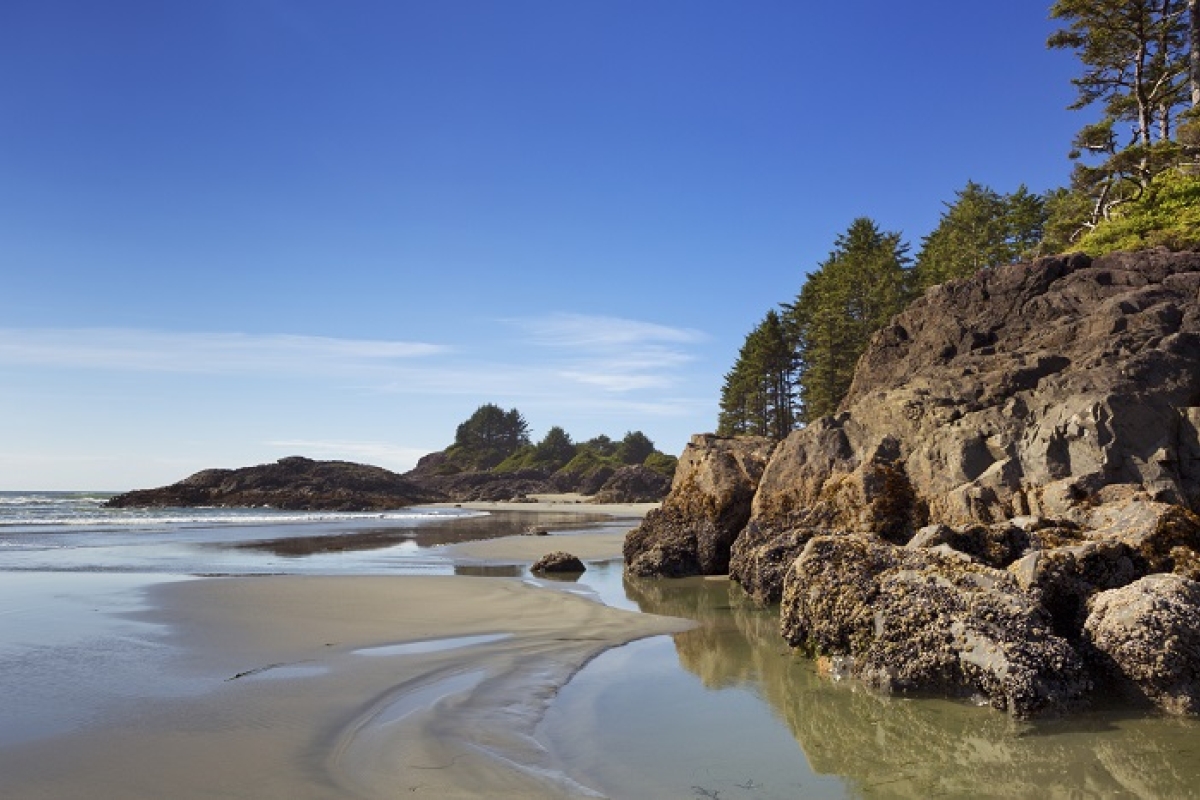 Beach along the coast of Vancouver Island.