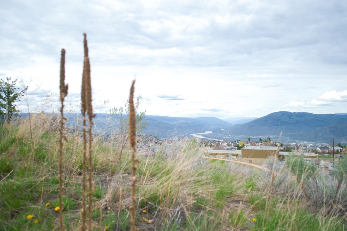 Scenic view overlooking mountains in Kamloops.