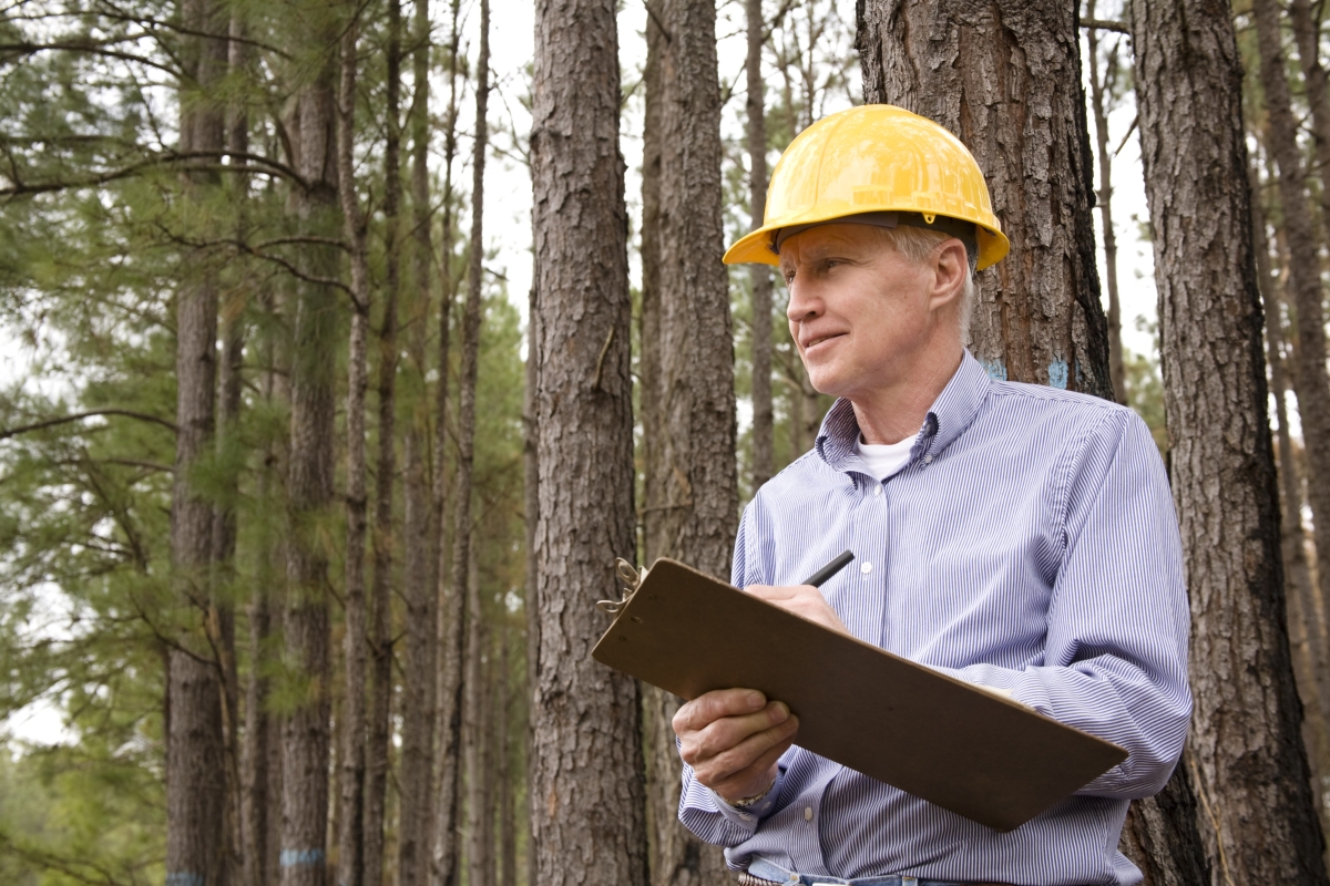 Caucasian male forestry worker recording environmental data 