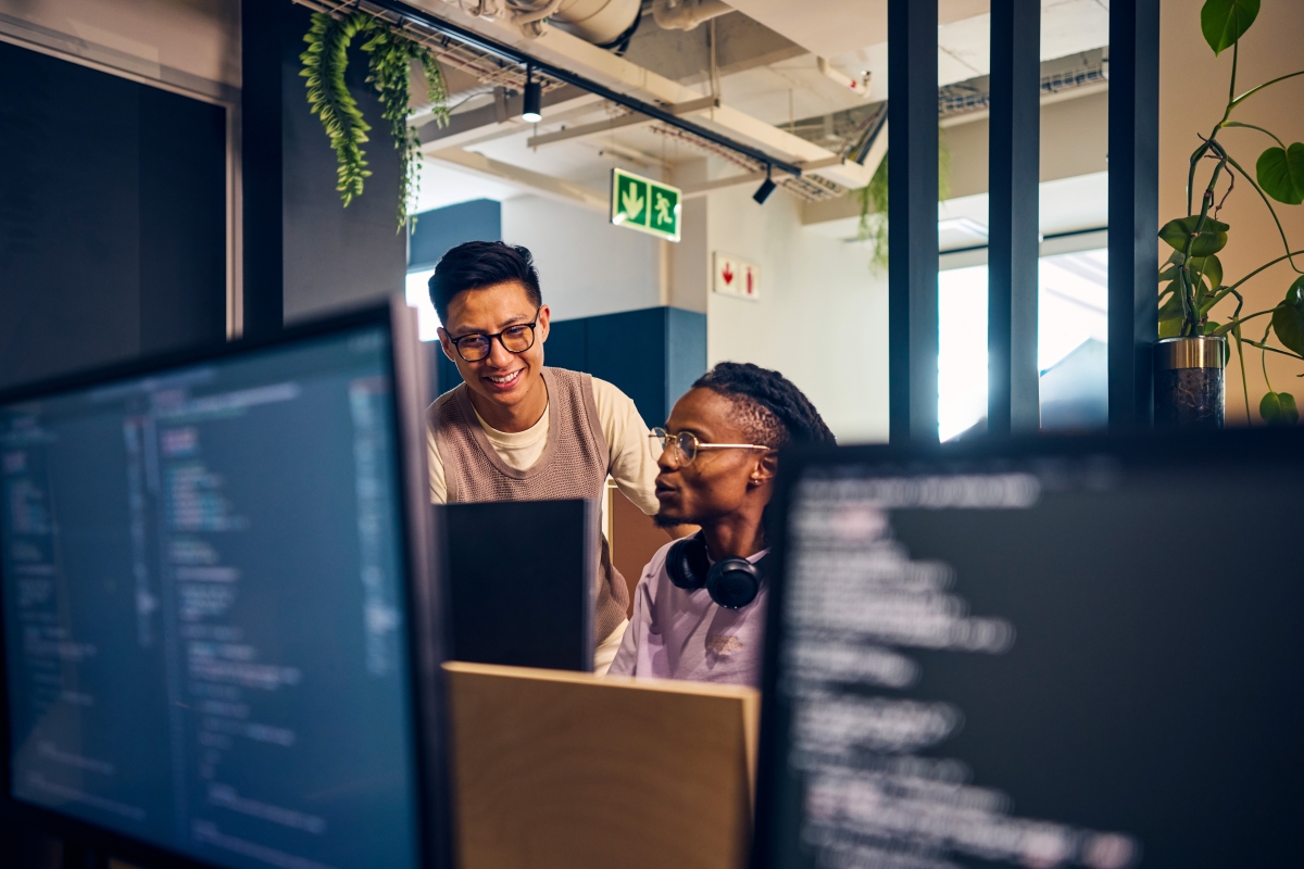 Two diverse software designers collaborating on a project