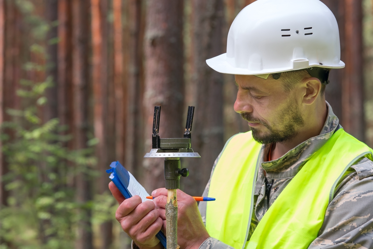 Male forestry tech in the field documenting findings