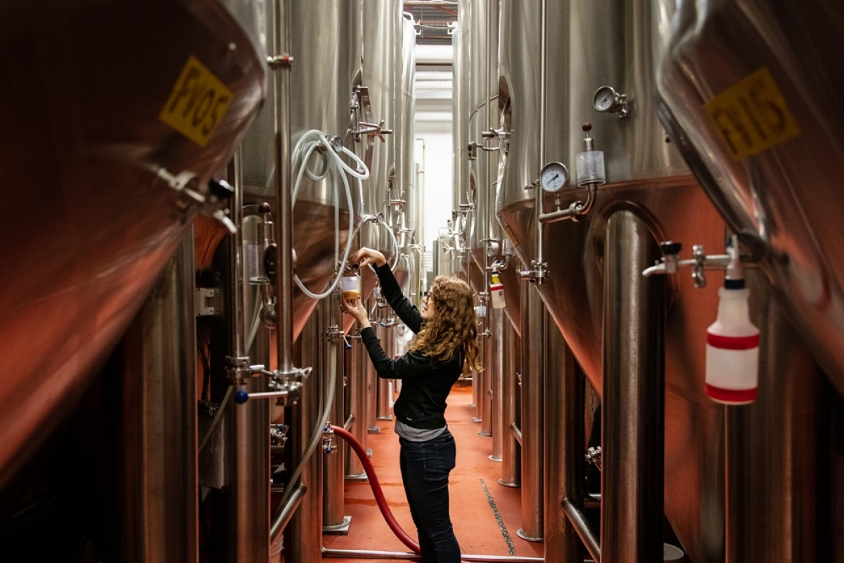 Female chemist checking beer from a brew vat.