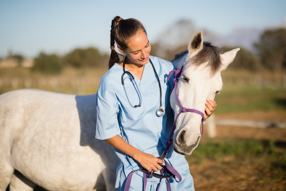 Female veterinarian stroking horse at ranch.