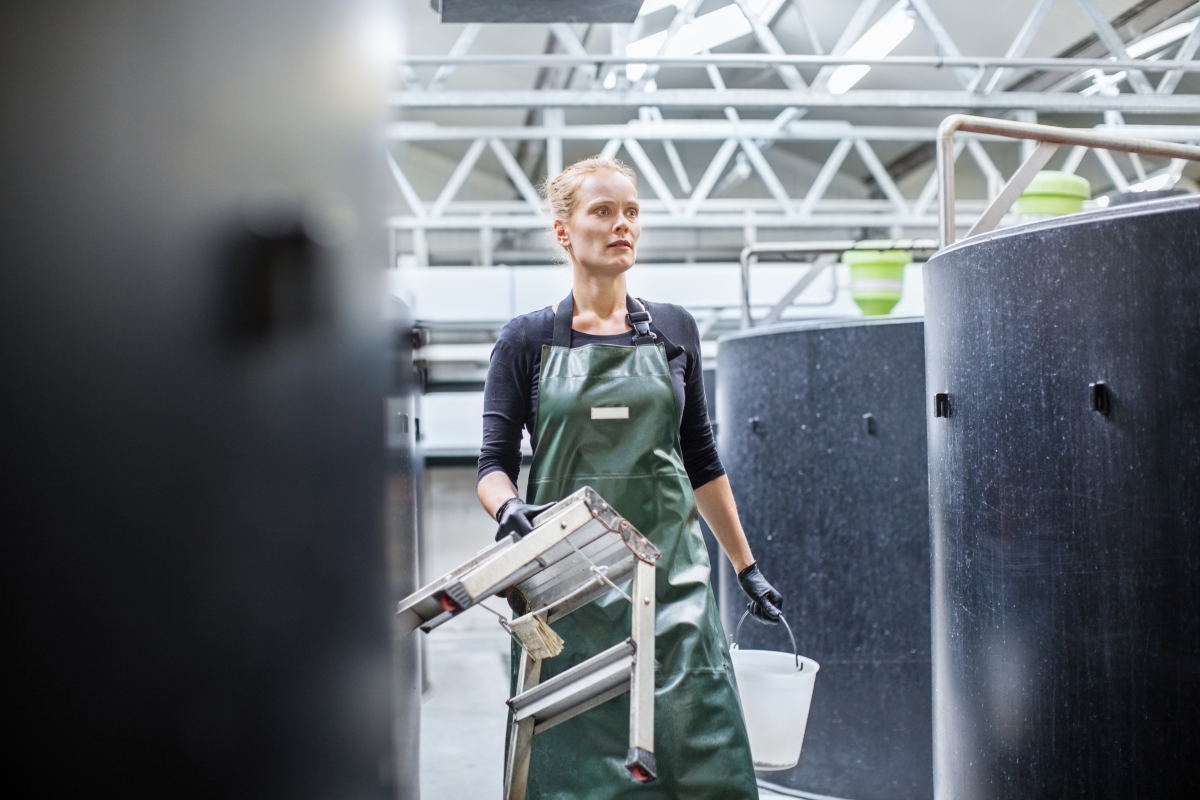Female fish farmer walking through hatchery tanks with stool and bucket.