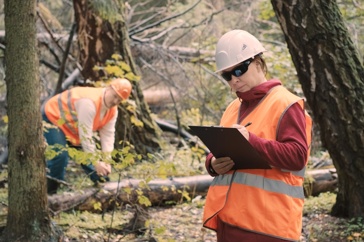 Female and male ecologists measure and document damage to forest.