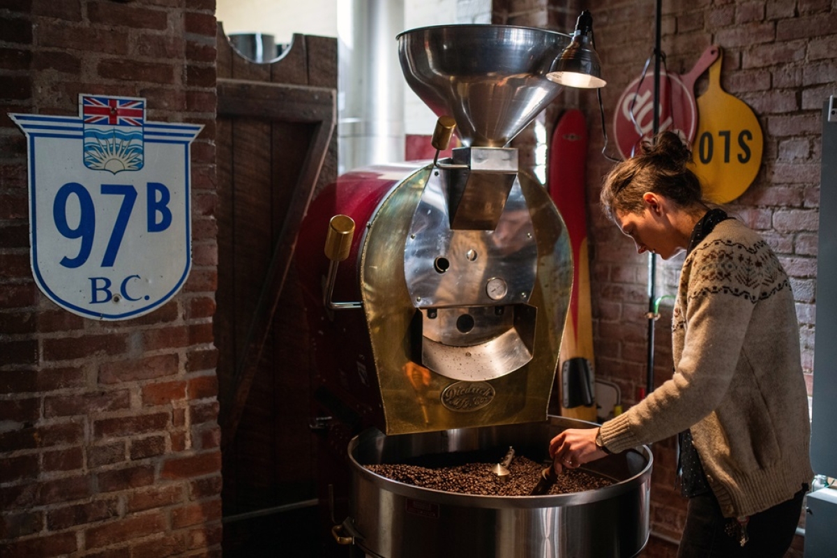 female coffee roaster monitoring the coffee beans in the roaster.
