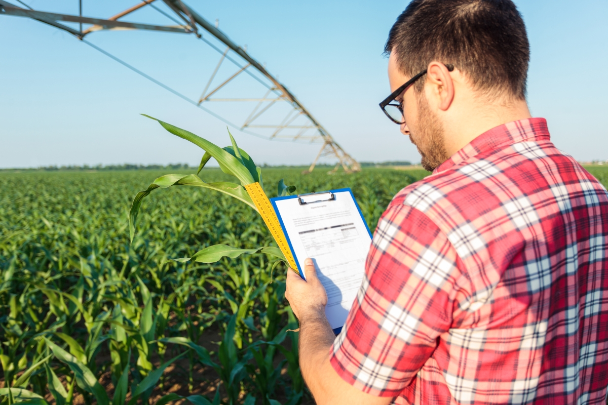 man in a plaid shirt overlooking a field of crops while reviewing a document on a clipboard