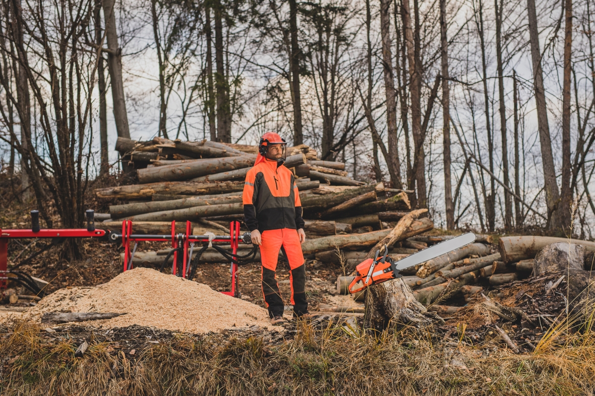 person wearing safety equipment, standing at a logging site
