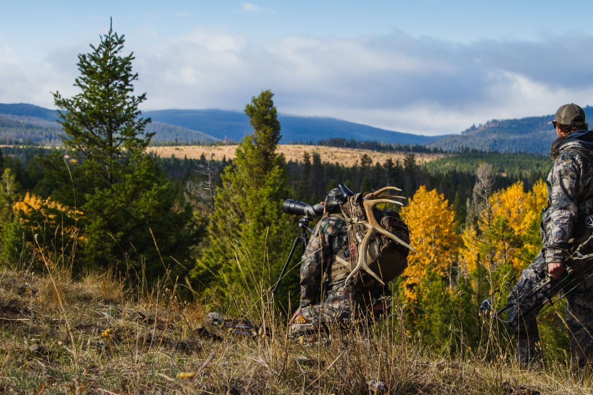 two people, wearing camouflage, looking out into the wilderness