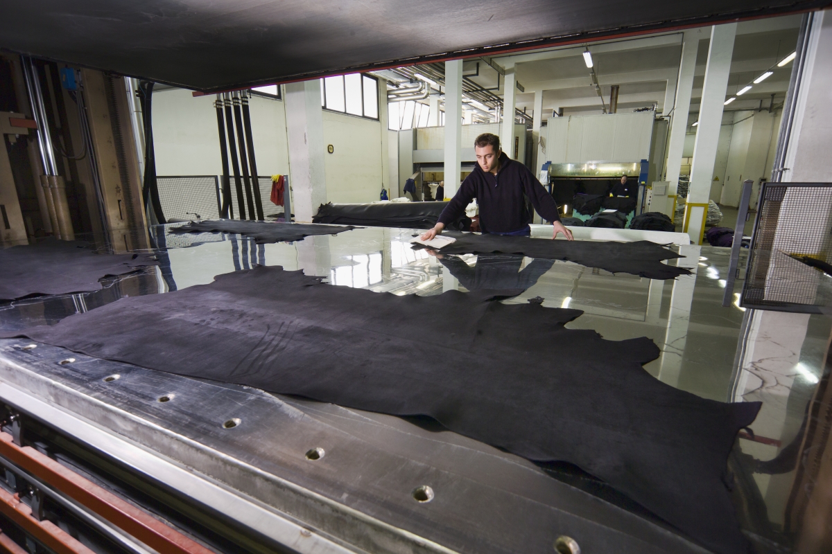 person standing at a large table looking at large pelts