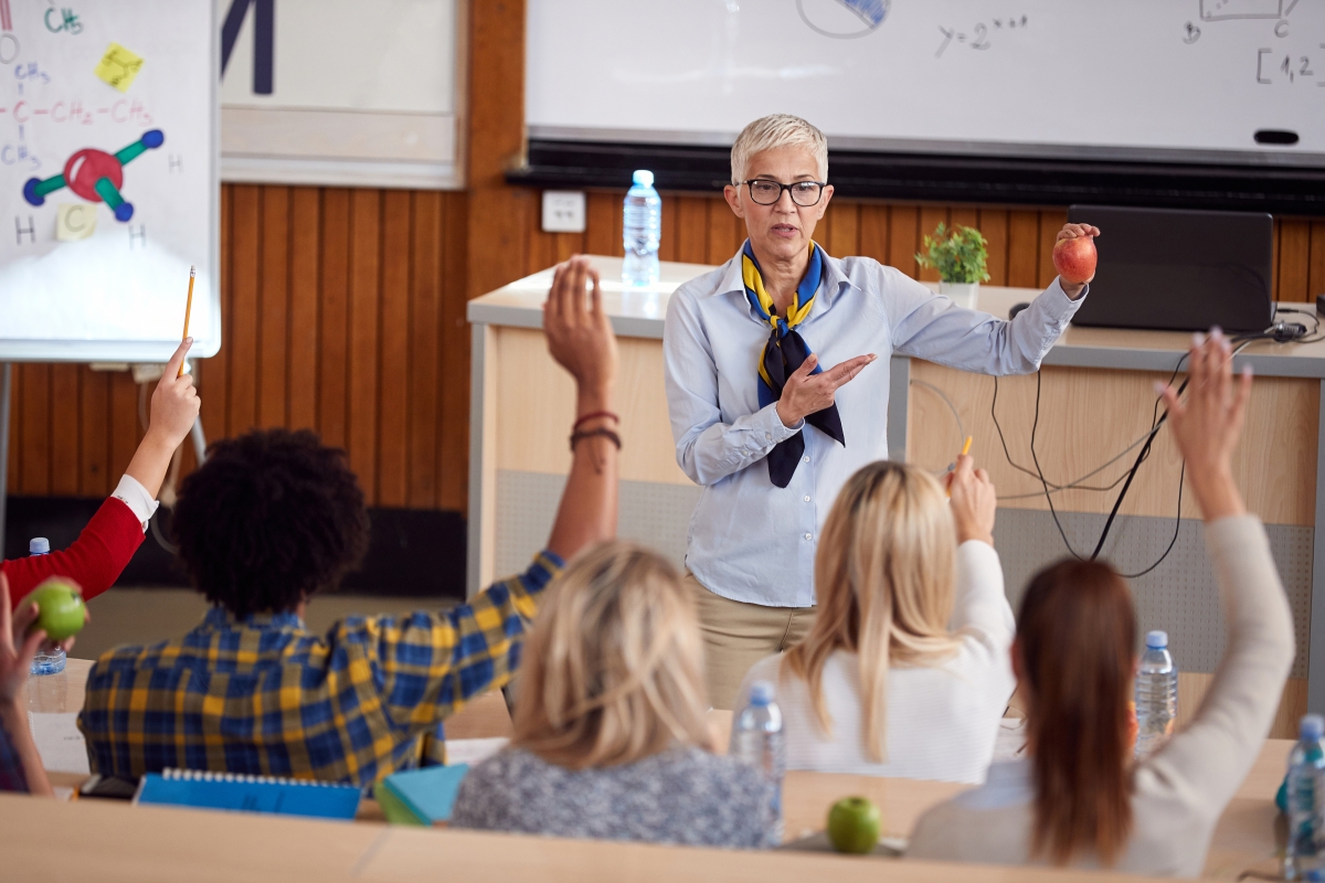 person lecturing a group of students