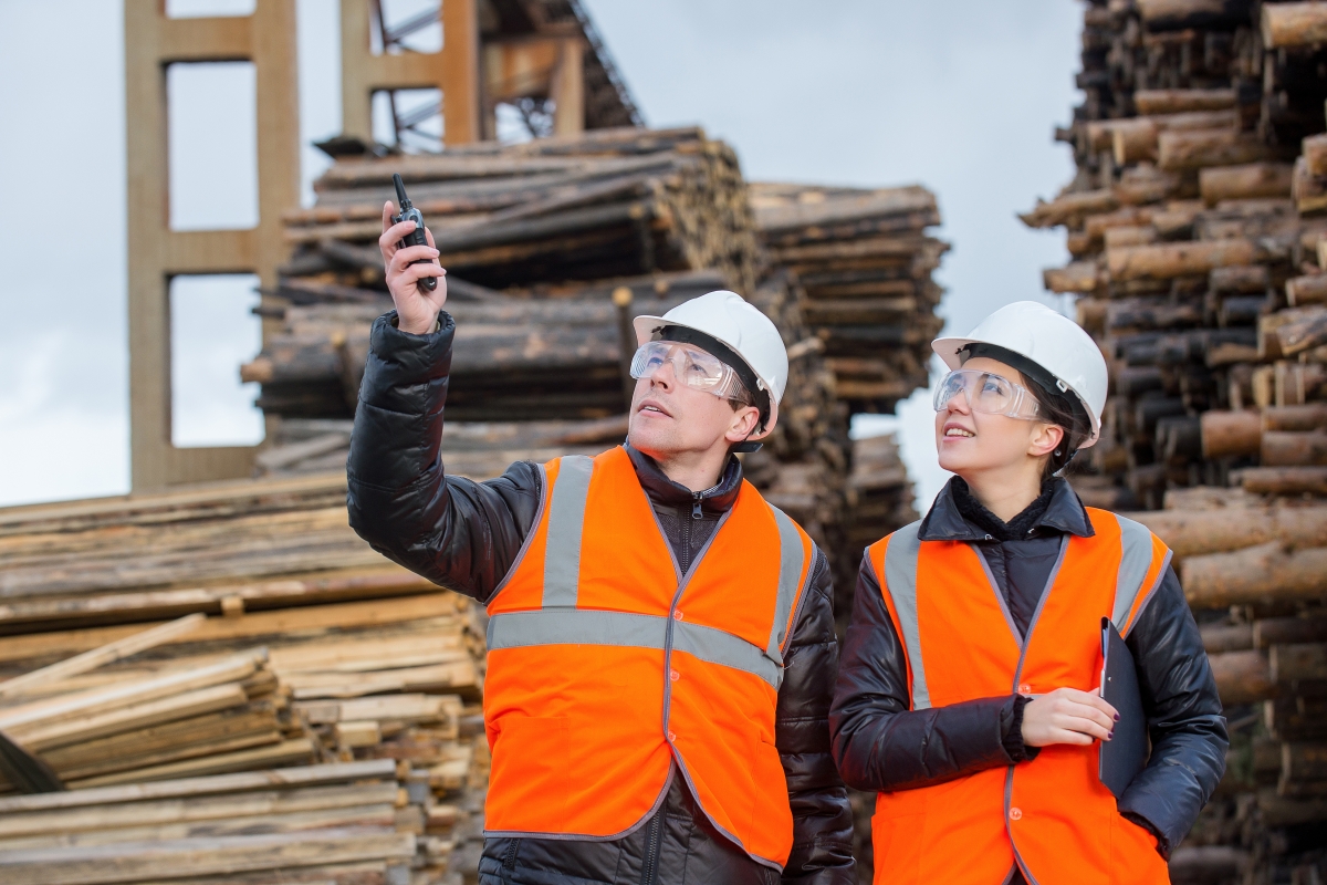 two people wearing safety equipment, standing at a log processing site